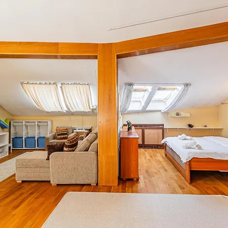 Guest house Monte Centro Brasov